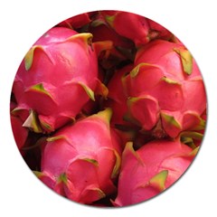 Dragonfruit Magnet 5  (round) by trendistuff