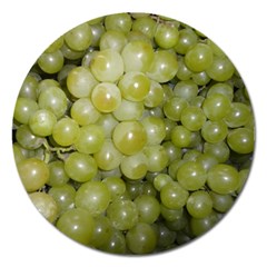 Grapes 5 Magnet 5  (round) by trendistuff