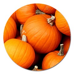 Pumpkins 1 Magnet 5  (round) by trendistuff