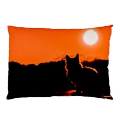 Sunset Cat Shadows Silhouettes Pillow Case by Nexatart