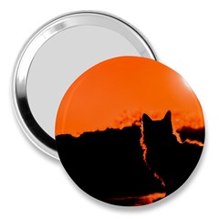 Sunset Cat Shadows Silhouettes 3  Handbag Mirrors by Nexatart