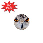 Owl Face 1  Mini Magnets (100 pack)  Front