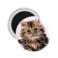 Kitten Mammal Animal Young Cat 2 25  Magnets by Simbadda