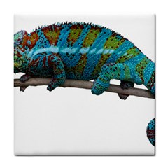 Reptile Lizard Animal Isolated Tile Coasters by Sapixe