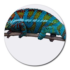 Reptile Lizard Animal Isolated Round Mousepads by Sapixe