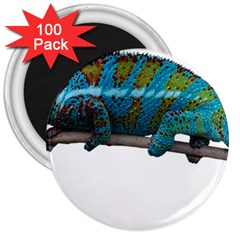 Reptile Lizard Animal Isolated 3  Magnets (100 Pack) by Sapixe