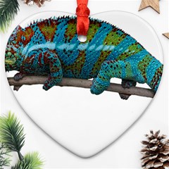 Reptile Lizard Animal Isolated Heart Ornament (two Sides) by Sapixe