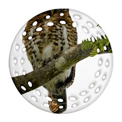 Owl Bird Ornament (round Filigree) by Sapixe