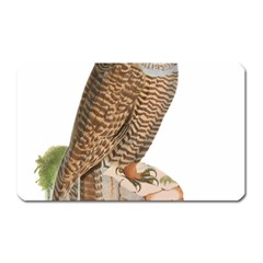 Bird Owl Animal Vintage Isolated Magnet (rectangular) by Sapixe