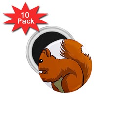 Squirrel Animal Pet 1 75  Magnets (10 Pack)  by Sapixe