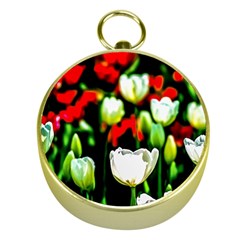 White And Red Sunlit Tulips Gold Compasses by FunnyCow