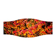 Orange, Yellow Cotoneaster Leaves In Autumn Stretchable Headband by FunnyCow