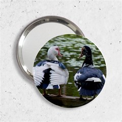 Muscovy Ducks At The Pond 2 25  Handbag Mirrors by IIPhotographyAndDesigns