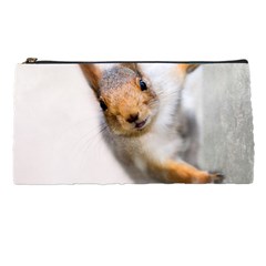 Curious Squirrel Pencil Cases by FunnyCow