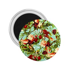 Fruit Blossom 2 25  Magnets by snowwhitegirl