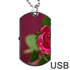 Rose 693152 1920 Dog Tag Usb Flash (one Side) by vintage2030