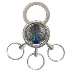 Peacock Bird Animals Pen Plumage 3-ring Key Chains by Sapixe