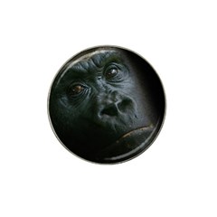 Gorilla Monkey Zoo Animal Hat Clip Ball Marker by Nexatart