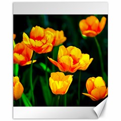 Yellow Orange Tulip Flowers Canvas 11  X 14  by FunnyCow