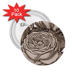 Flowers 1776626 1920 2 25  Buttons (10 Pack)  by vintage2030