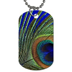 Peacock Feather Macro Peacock Bird Dog Tag (two Sides) by Simbadda