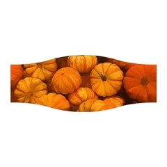 Pumpkins Tiny Gourds Pile Stretchable Headband by bloomingvinedesign