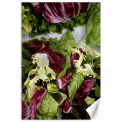 Salad Lettuce Vegetable Canvas 24  X 36  by Sapixe