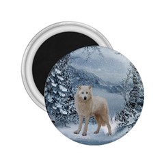 Wonderful Arctic Wolf In The Winter Landscape 2 25  Magnets by FantasyWorld7