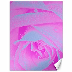 Perfect Hot Pink And Light Blue Rose Detail Canvas 36  X 48  by myrubiogarden