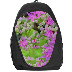 Hot Pink Succulent Sedum With Fleshy Green Leaves Backpack Bag by myrubiogarden