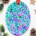 Blue And Hot Pink Succulent Sedum Flowers Detail Ornament (Oval) Front