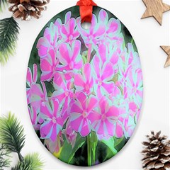 Hot Pink And White Peppermint Twist Garden Phlox Ornament (oval) by myrubiogarden