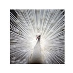 Peacock White Bird Nature Small Satin Scarf (Square) Front