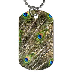 Peacock Feathers Color Plumag Dog Tag (one Side) by Wegoenart