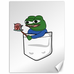 Apu Apustaja Roasting A Snail On A Campfire Pepe The Frog Pocket Tee Kekistan Canvas 12  X 16  by snek