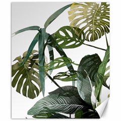 Botanical Illustration Palm Leaf Canvas 8  X 10  by Mariart