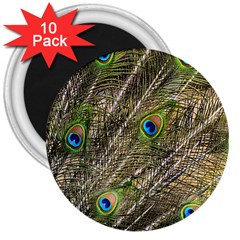 Green Peacock Feathers Color Plumage 3  Magnets (10 Pack)  by Pakrebo