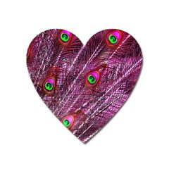 Red Peacock Feathers Color Plumage Heart Magnet by Pakrebo