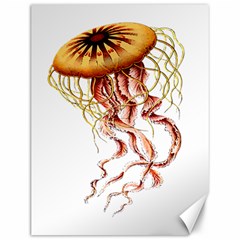 Animal Art Forms In Nature Jellyfish Canvas 12  X 16  by Wegoenart