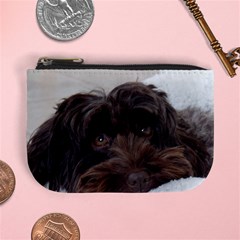 Laying In Dog Bed Mini Coin Purse by pauchesstore