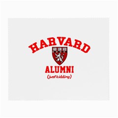 Harvard Alumni Just Kidding Small Glasses Cloth by Sudhe