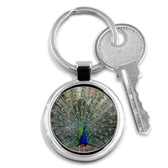 Peacock Bird Animal Feather Key Chains (round)  by Pakrebo