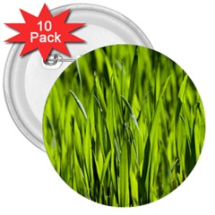 Agricultural Field   3  Buttons (10 Pack)  by rsooll