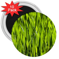 Agricultural Field   3  Magnets (10 Pack)  by rsooll