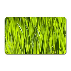 Agricultural Field   Magnet (rectangular) by rsooll