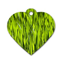 Agricultural Field   Dog Tag Heart (two Sides) by rsooll