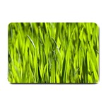 Agricultural field   Small Doormat  24 x16  Door Mat