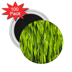 Agricultural Field   2 25  Magnets (100 Pack)  by rsooll