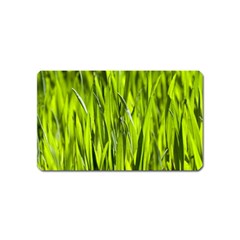 Agricultural Field   Magnet (name Card) by rsooll