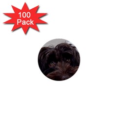 Laying In Dog Bed 1  Mini Buttons (100 Pack)  by pauchesstore